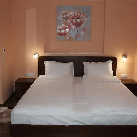 Center Guest house